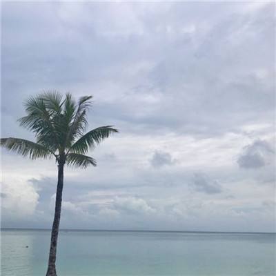 拳力出击游戏下载